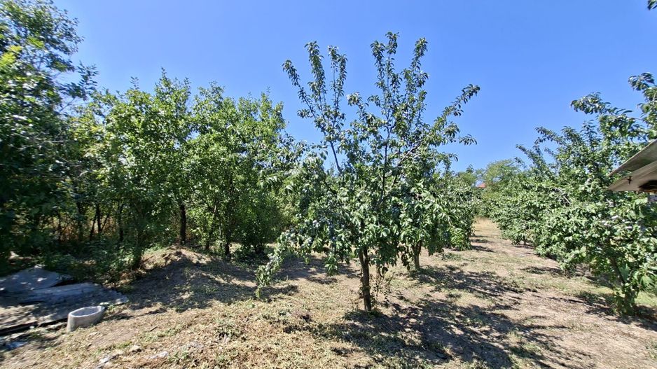 Casa Teiu Deal 84 mp toate conditile mutare imediata - Poză 13
