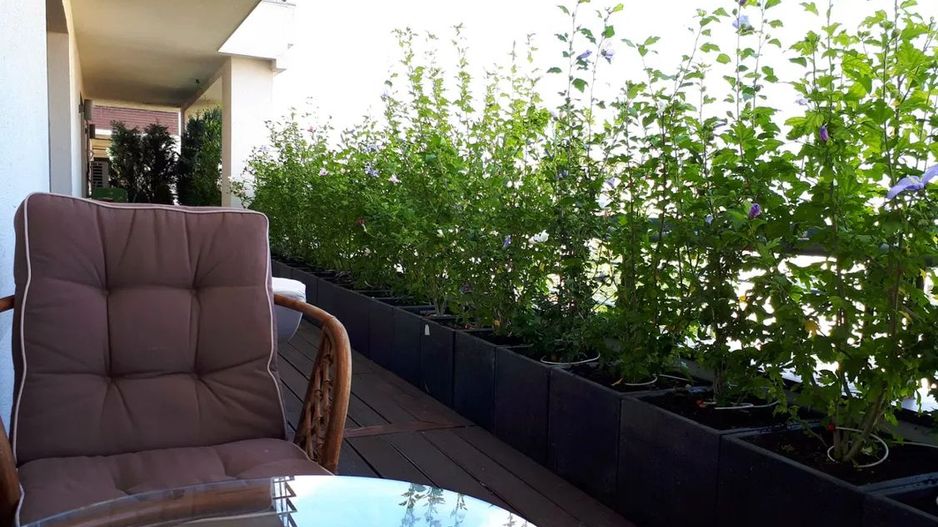 penthouse 3 camere | terasa 80 mp | Domenii | Turda - Poză 23