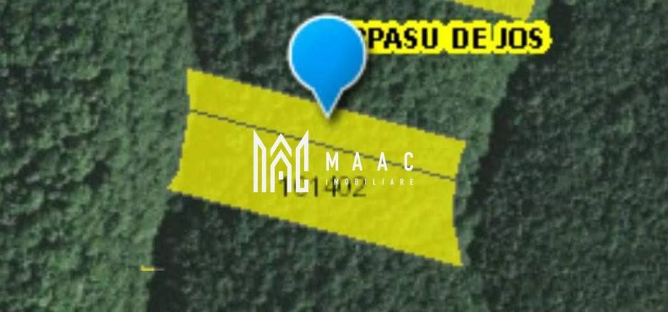Teren extravilan de vânzare | Arpașu de Sus | 3100 mp - Poză 5