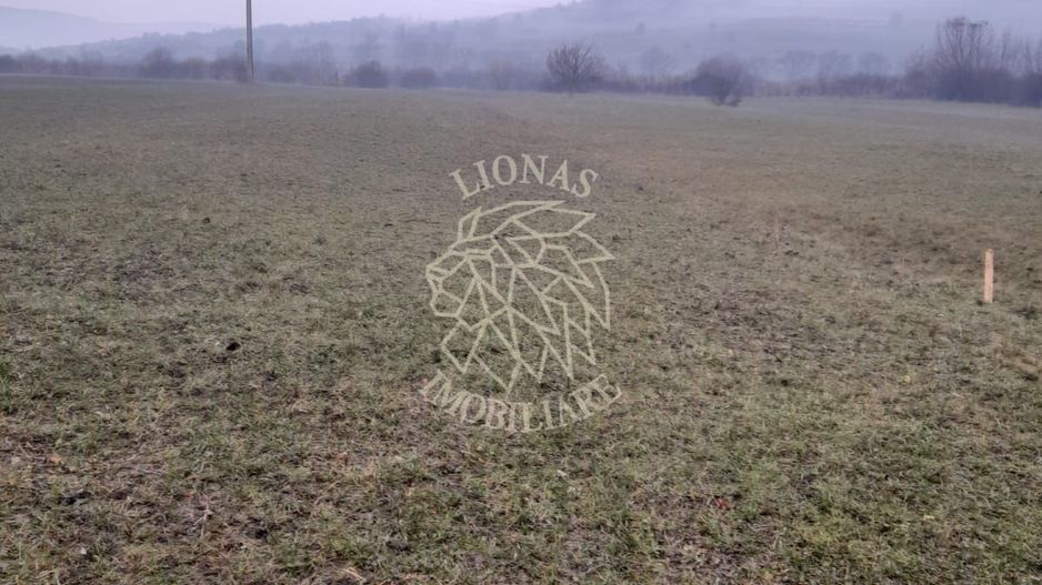 Teren 1698 mp-ideal investitie-Dumitrita, 15 km de Bistrita - Poză 2