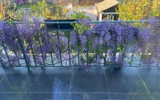DUPLEX  COMUNA GIROC - Poză 21
