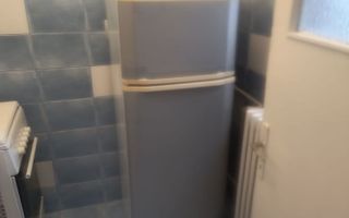 Inchiriez garsoniera pacurari - Poză 4