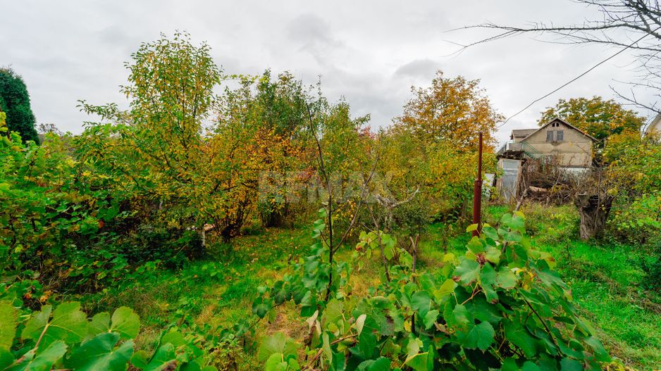 Lot pomicol de 6 ari în Ialoveni, cu construcție auxiliară. - Poză 16