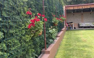 Casa de Vanzare - Poză 3