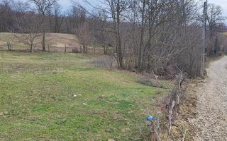 Teren de vânzare în zona Dorobanți, Aroneanu, 1500 mp - Poză 3