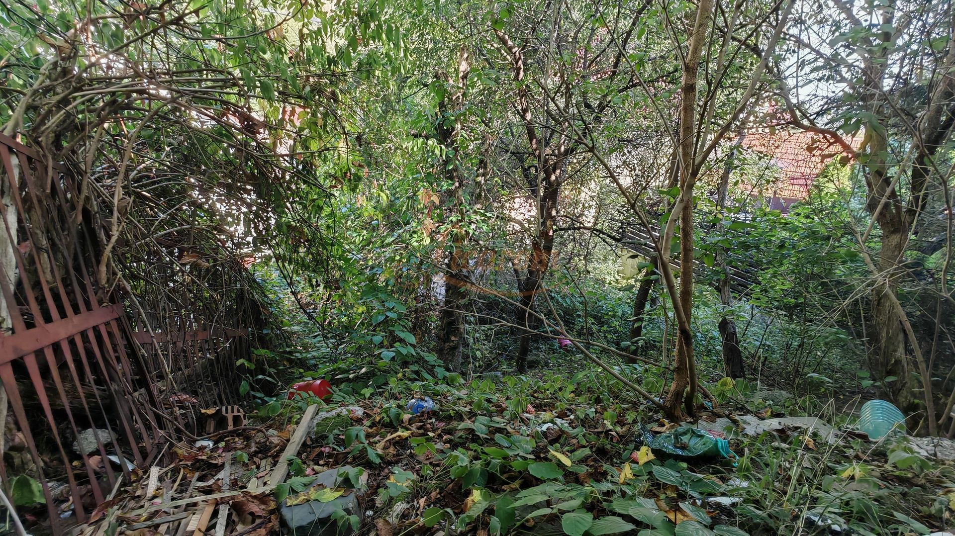 Casa singur in curte zona ZONA ISTORICA langa Seminarul Teologic - Poză 8