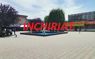 Inchiriere spatiu 100 mp, complex Craiovei, etaj - Poză 1