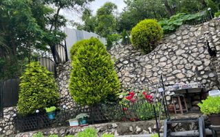 Casa P+1 / Stirbei Voda - Poză 21