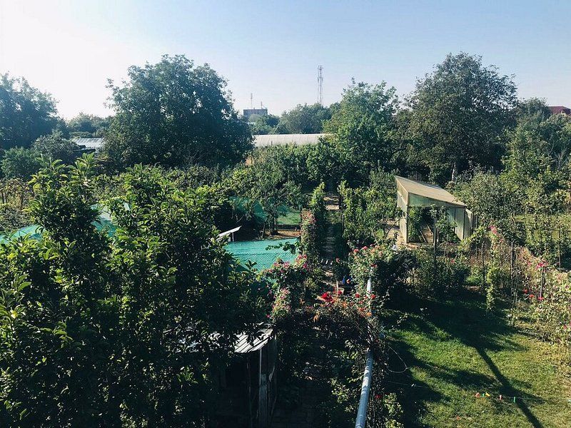 De vanzare casa D+P+M situat in Aradul nou, avand curte proprie - Poză 7