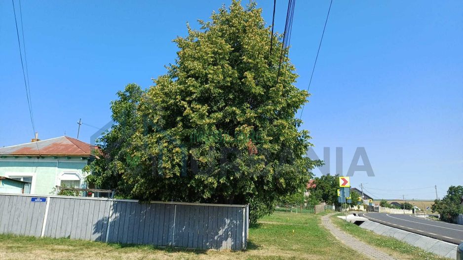Casa de vinzare in comuna Bals (Iasi) - Poză 8