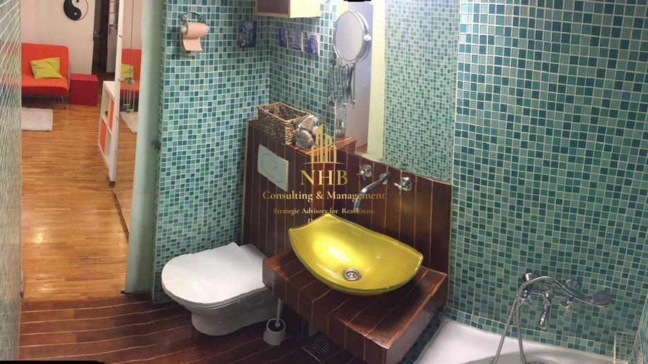 2 camere, Aviator Popisteanu, Agronomia, Domenii - Poză 4