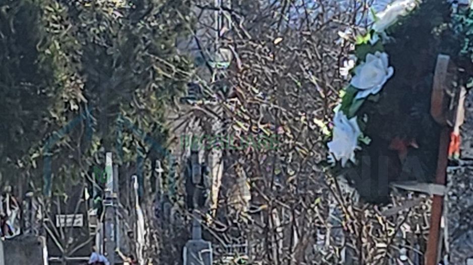 Cavou cu 2 locuri în Cimitirul Eternitatea, Iași - Parcela 4 - Poză 3