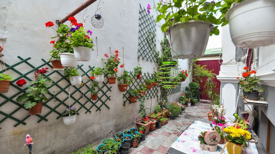 Casa individuală | Strada Plantelor | Curte proprie - Poză 3