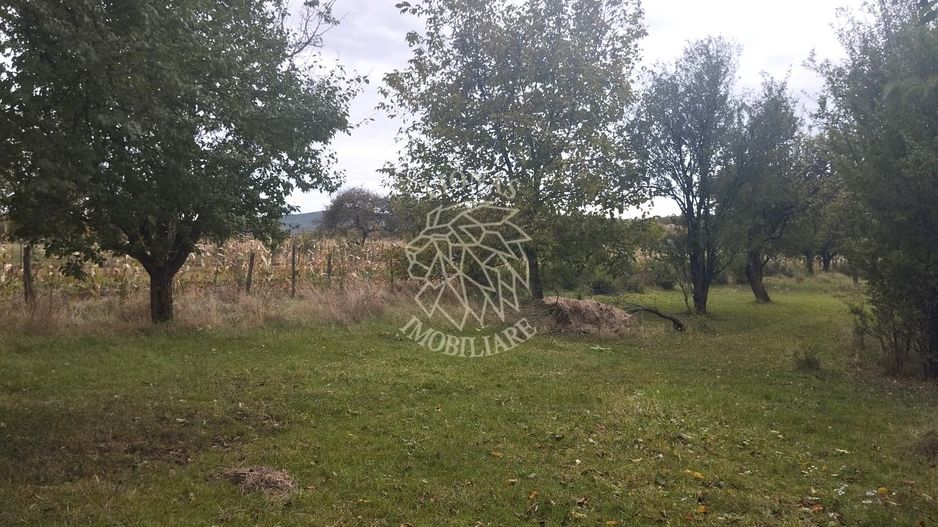 Teren intravilan 1500 mp-ideal casa-Mijlocenii Bargaului - Poză 2