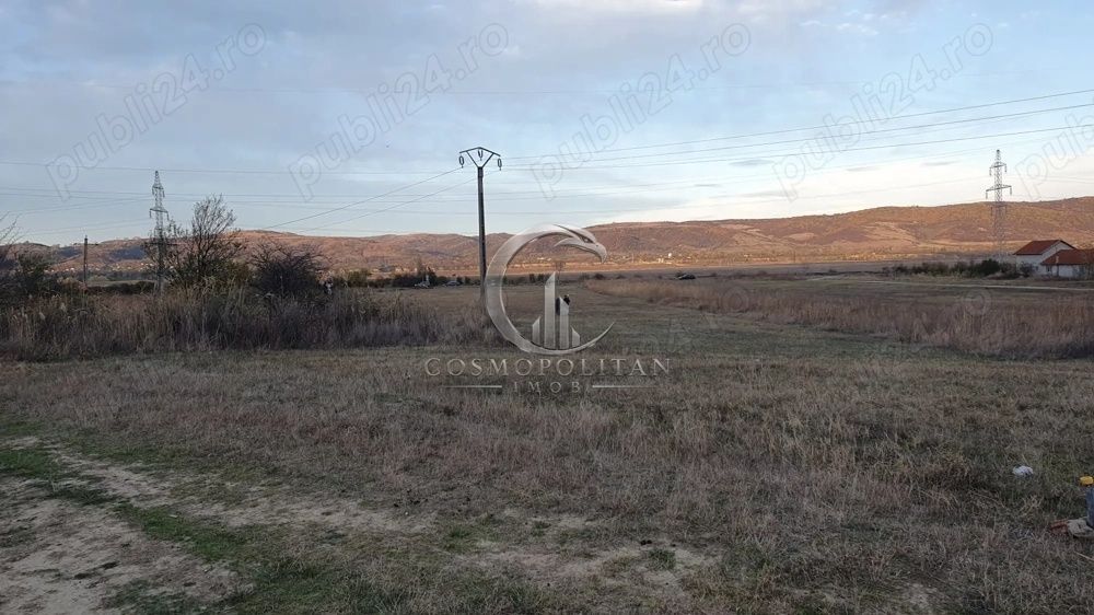 Teren intravilan zona Candesti BZ 10.000mp d=52m la DN10 Pret: 12 mp neg. - Poză 4