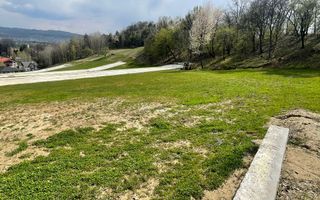 Teren intravilan - Calea Lui Traian - Zona Cetatuia - Poză 10