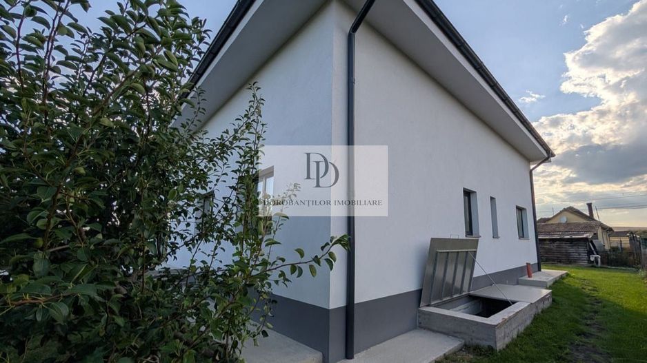 Vanzare 3 case | Teren 1400 mp | Garaj auto + Anexe - Poză 5