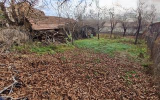 Casa Individuala, 3 Camere, Suprafata 90 mp, Teren 739, Zona Cetate - Poză 3