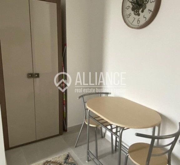 STUDIO PREMIUM | ZONA INTIM (COD 08)-De inchiriat termen lung - Poză 8