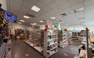 Spatiu comercial de vanzare Timisoara - Poză 3
