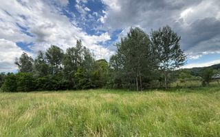 Teren plat-intravilan -3800 mp, cu pădurice și ieșire la râu! - Poză 9
