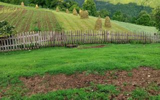 Proprietate cu 60000 mp pamant la pret de apartament - Poză 31