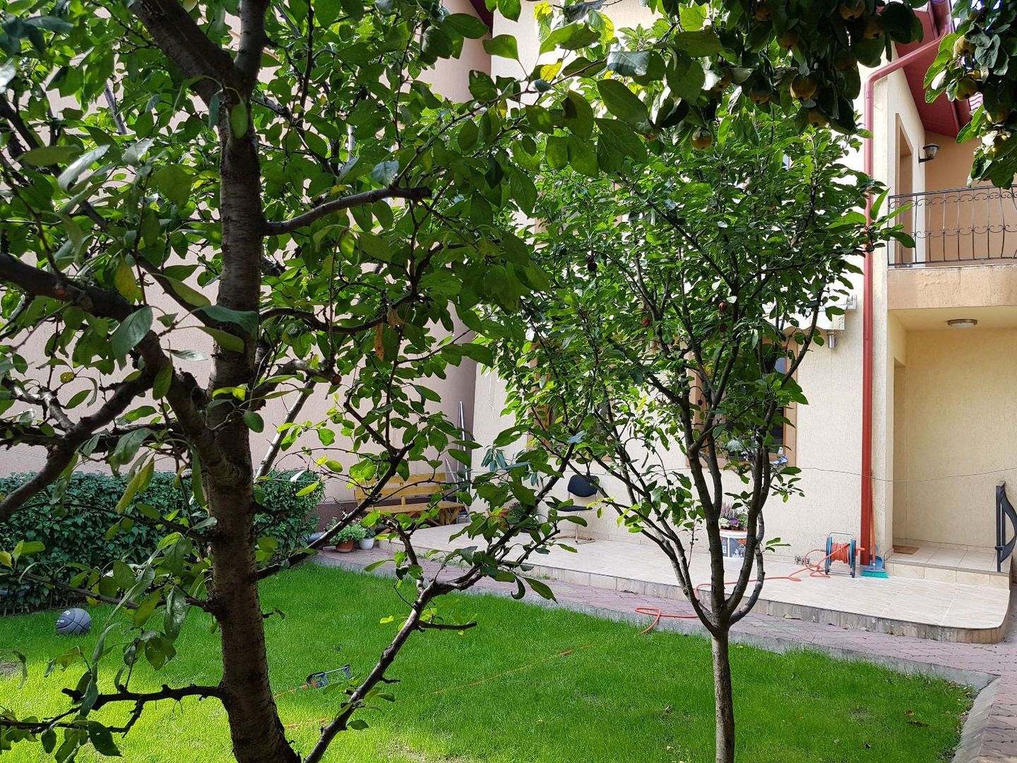 6 cam | vila | Gradinita birou | | Bucurestii Noi Bazilescu - Poză 9