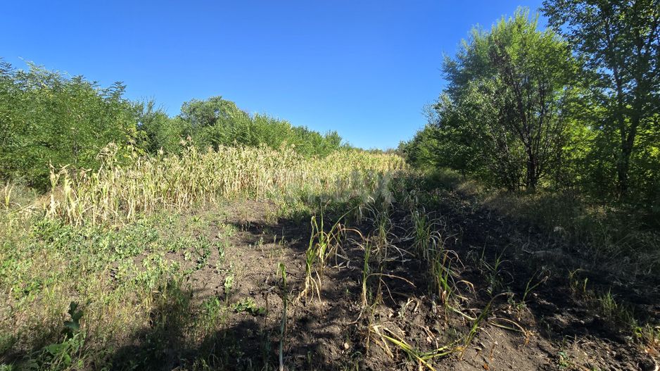 10 ari pentru construcții agroindustriale - Poză 6