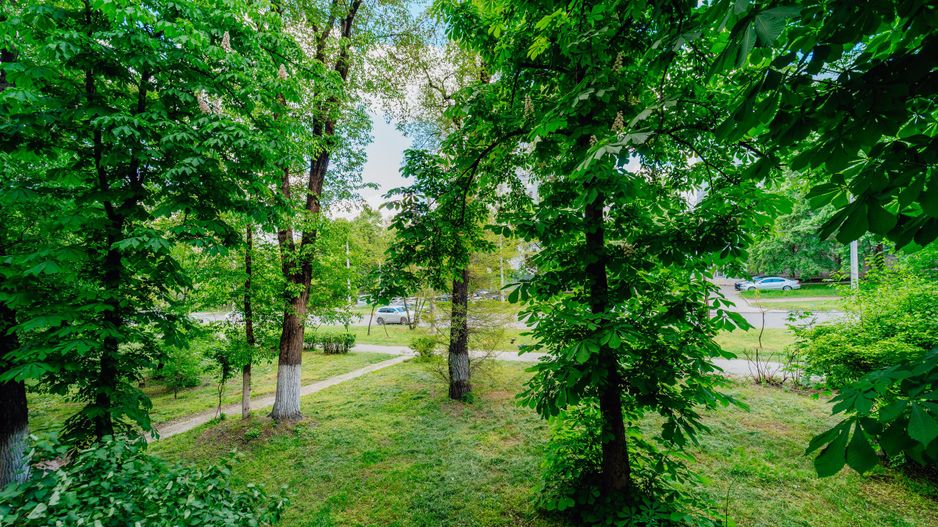 Apartament gata de trai, 2 camere, Docuceaev. - Poză 17