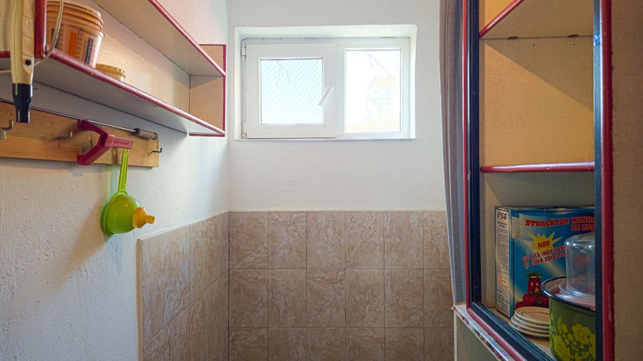 Lunei - Ion Neculce, 2 Apartamente. Mansarda 157 mp. Anexe, Lot 475 mp - Poză 41