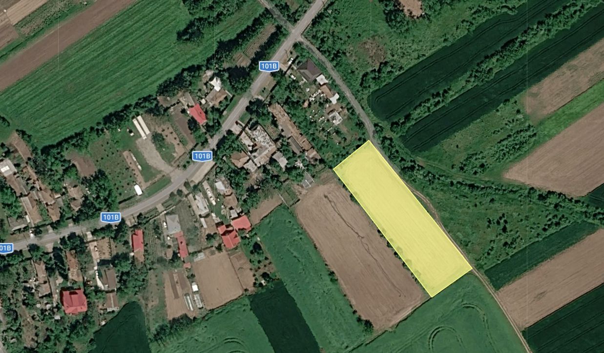 Intravilan 12 euro/mp!!! Cel mai bun pret din Ilfov -zona Nuci ! - Poză 3