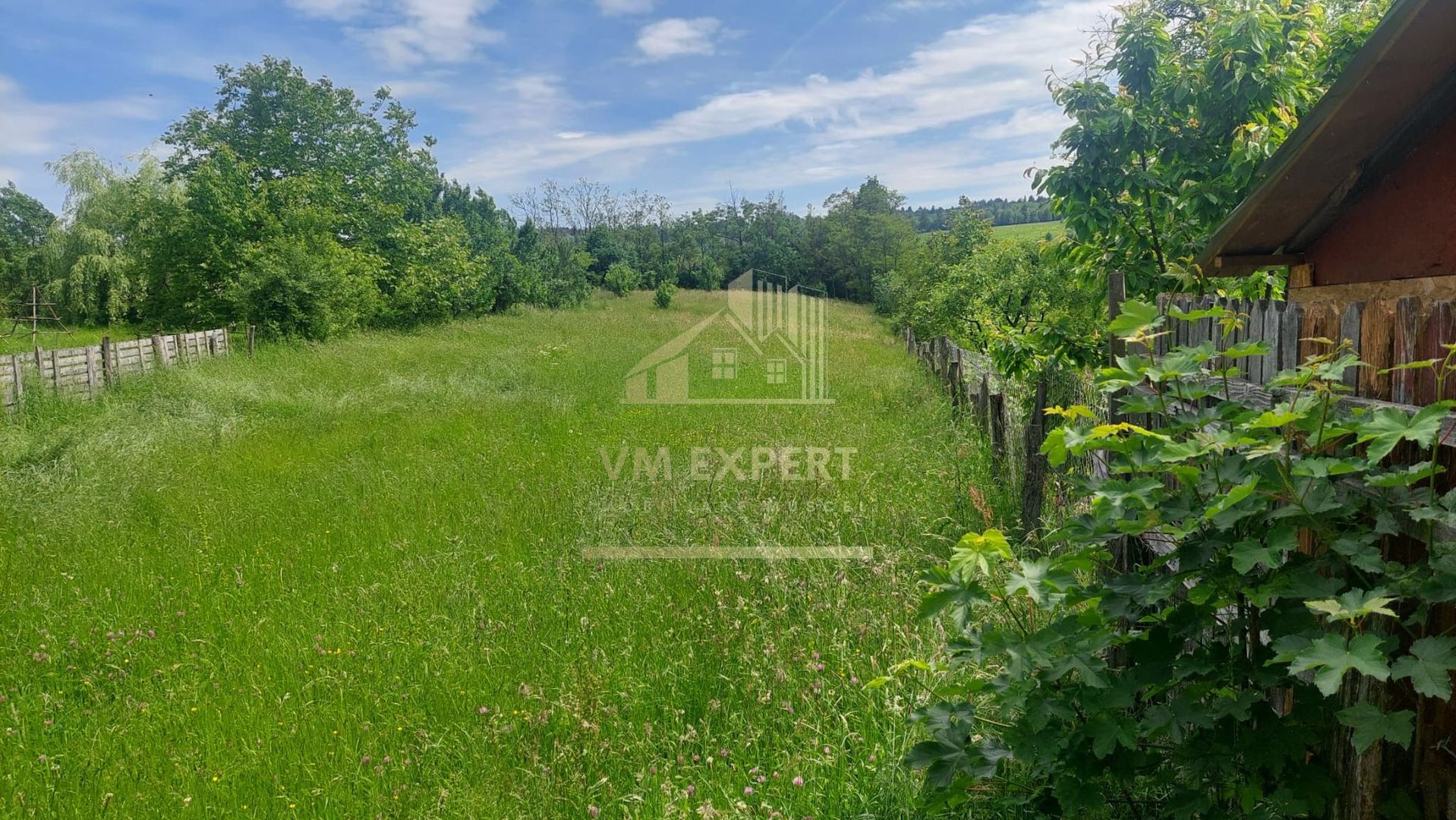 TEREN INTRAVILAN 2972 MP, BUGHEA DE SUS, PRET 23776 EURO - Poză 2