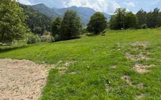 Teren de vânzare – Glejerie Râșnov (comuna Bran) | PUZ aprobat - Poză 8