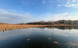 Lacul Snagov - Inchiriere - Vila NOUA - 4 camere - Poză 24
