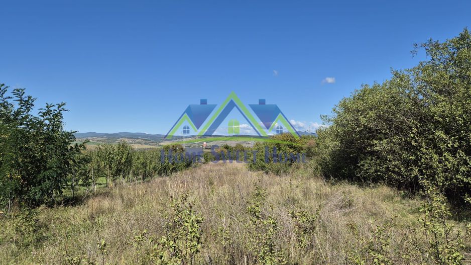 Teren intravilan în zona Lătureni – Buituri, în spatele casei nr. 100! - Poză 6