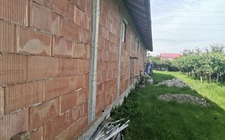 Inchiriere hala depozitare si teren, Labusesti - Poză 6