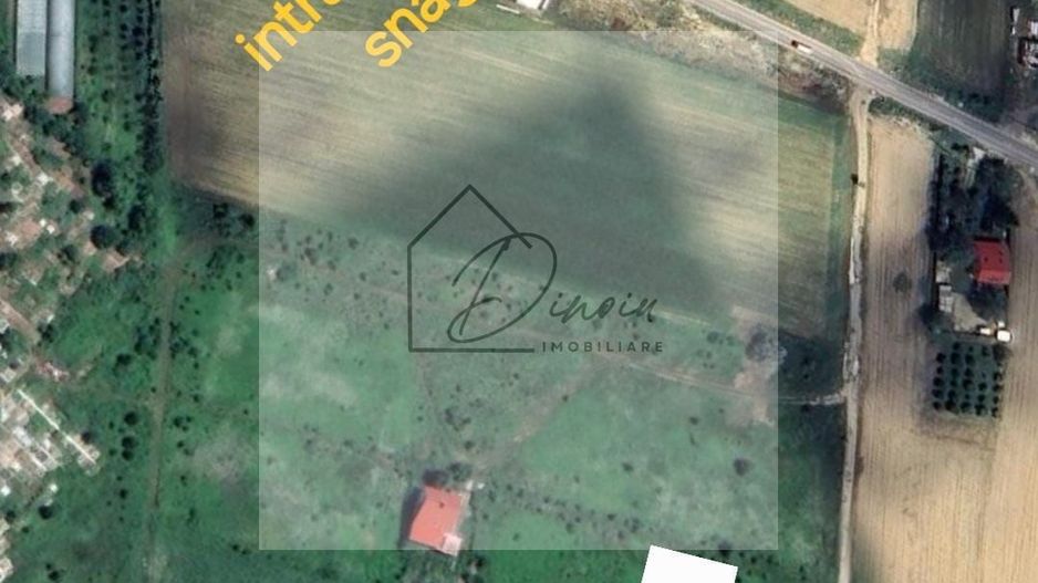 Teren intravilan Snagov  I 980 mp I Siliștea Snagovului - Poză 2