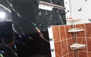 Inchiriez apartament Centru - Poză 2