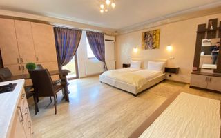 Studio de închiriat-Zona Centrala - Poză 5