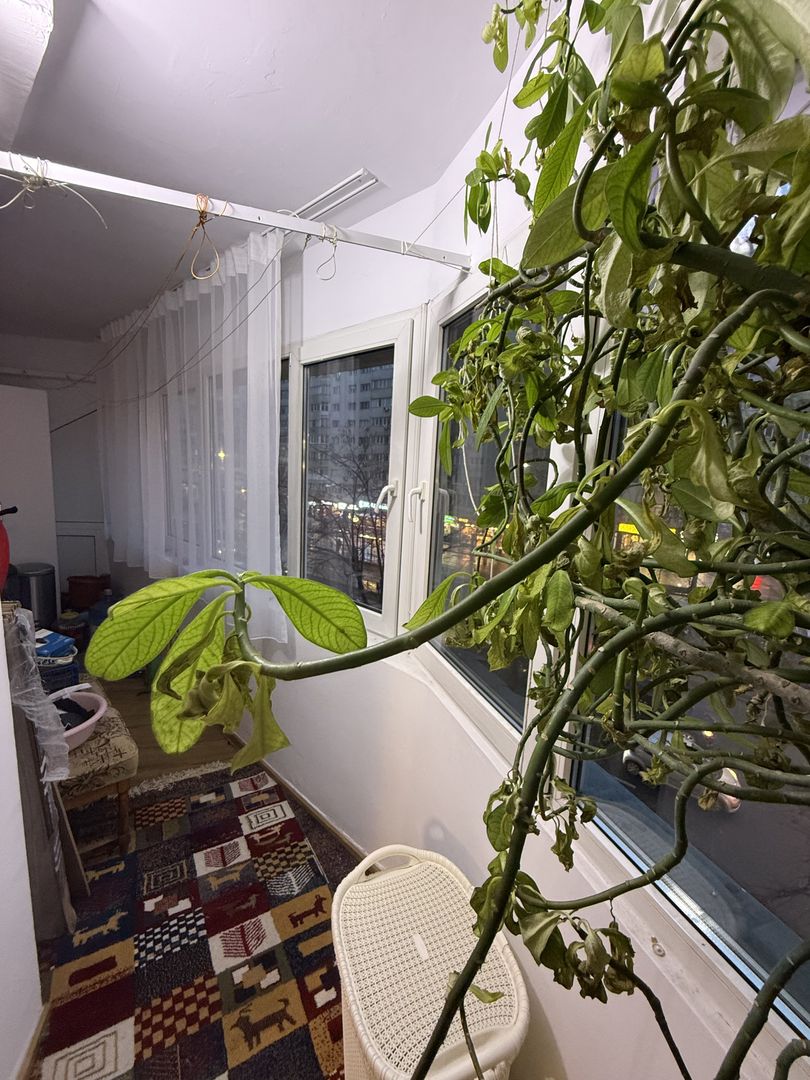 Ap 3 cam 90 mp -cu balcon - et 1- mobilat/utilat-langa Mega Mall - Poză 20