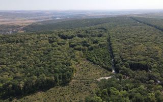 Vânzare, teren pentru construcție, 9.21 ha, Micăuți, Sireț - Poză 8