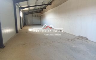 NECTORA IMOB-4 hale industriale noi, Zona Livada de Bihor, Curte mare - Poză 6