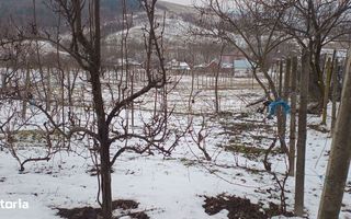 Teren intravilan 704 mp, acces asfaltat, priveliste Padurea Breazu - Poză 7