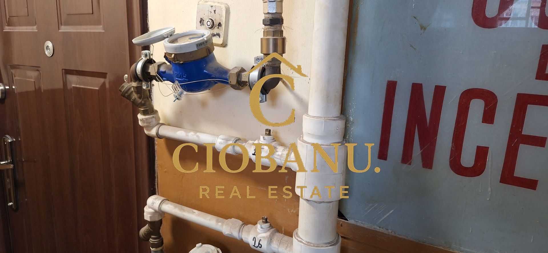 Apartament 3 camere de vanzare zona Gradina Botanica - Poză 8