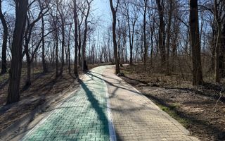 Teren intravilan de vânzare - Ocna Sibiului - Poză 8