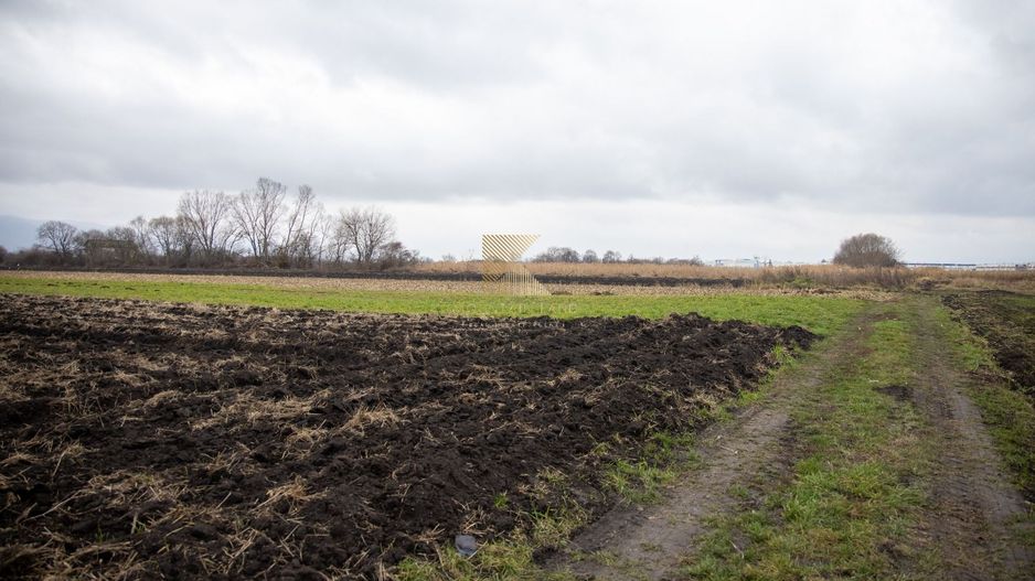 Lot de teren intravilan – 467 mp | Stupini, Strada Albinelor - Poză 6