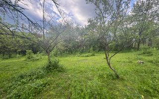 TEREN INTRAVILAN 7018 MP CAMPULUNG - Poză 19