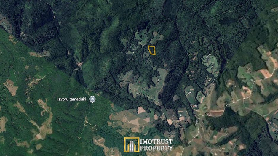 Pădure și pășune de vânzare 8,2037 ha Borod, Bihor - Poză 4