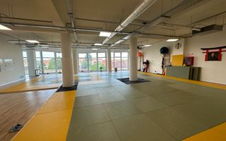 Spatiu de birou cu terasa de 295 mp - Poză 5