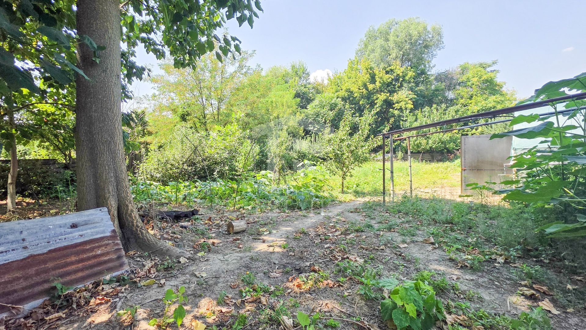 Teren intravilan generos – Țegheș, Str. Transilvaniei - Poză 6